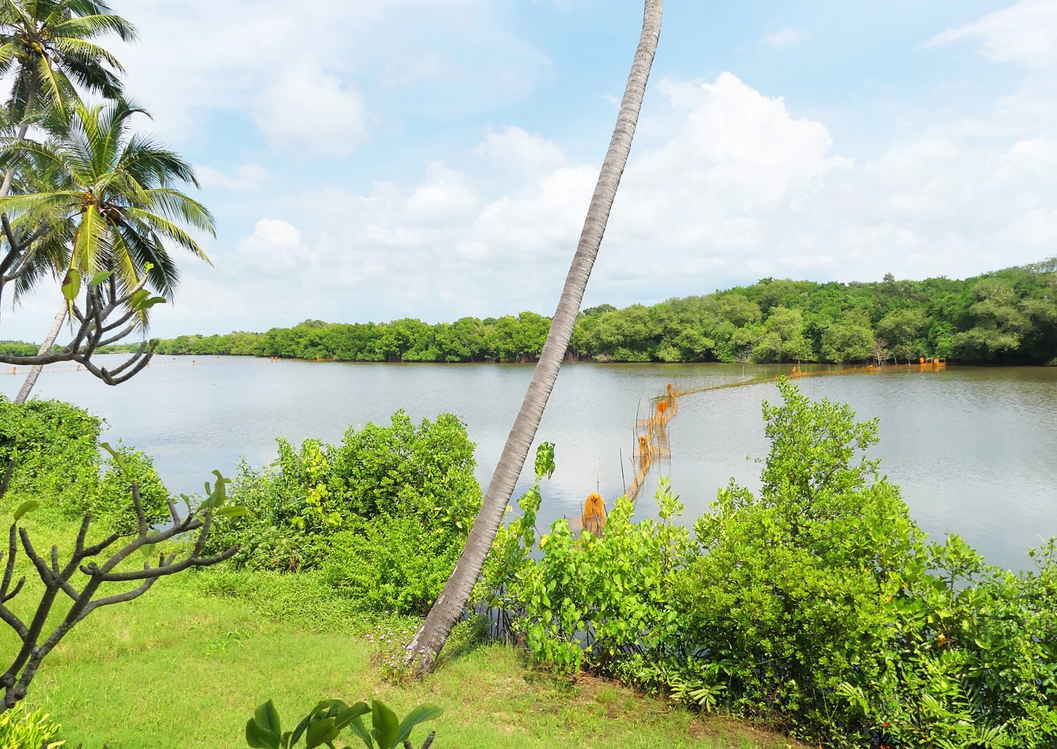 Chilaw Lagoon