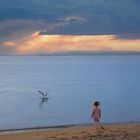 Child and seagull