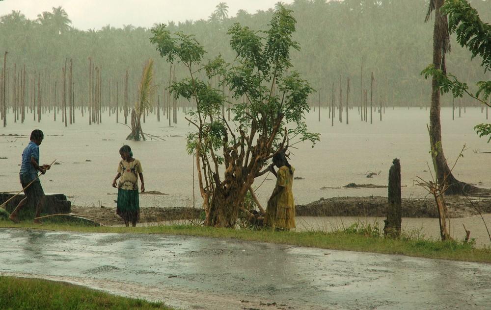 Children of The Rain