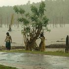 Children of The Rain