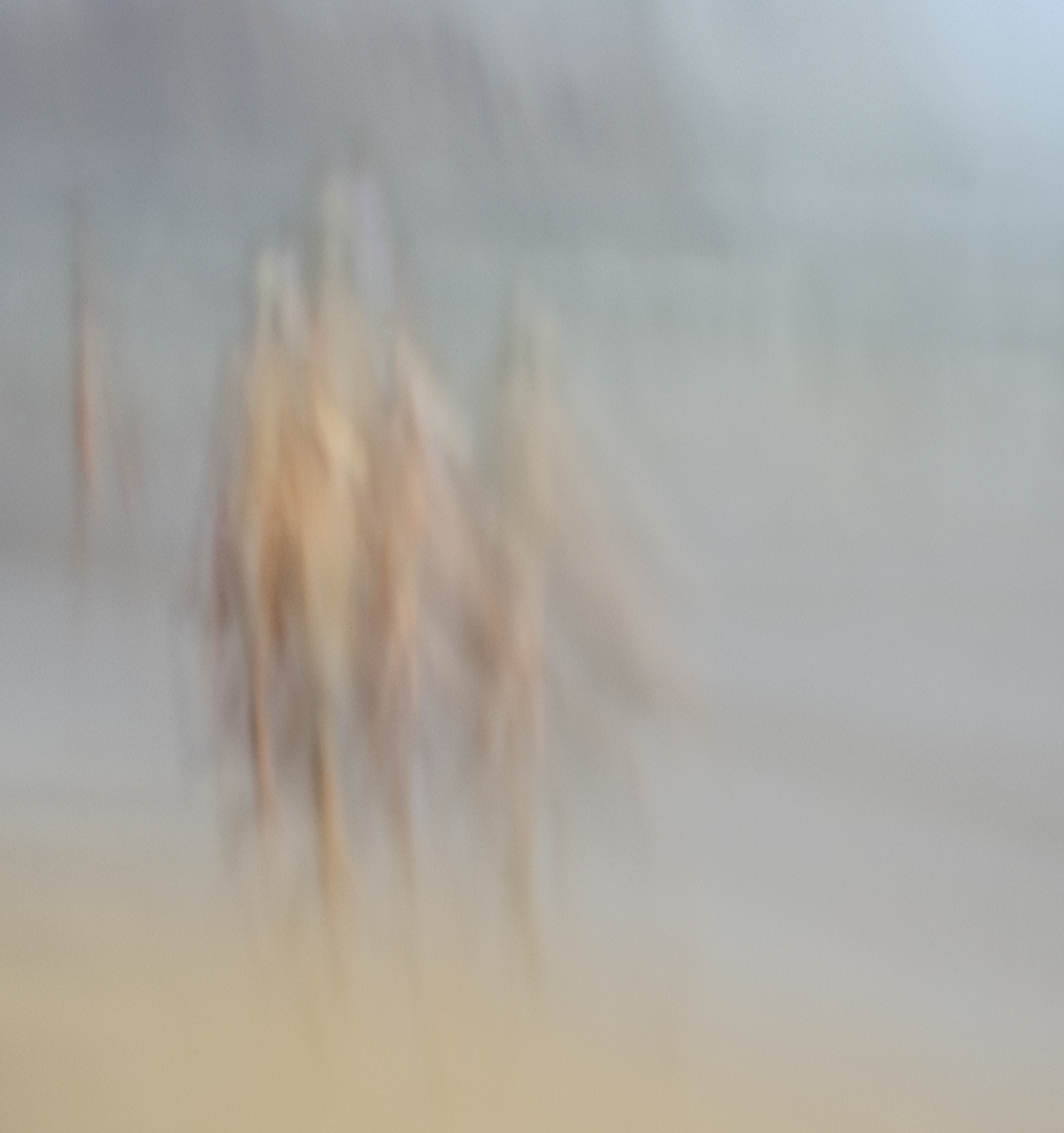 Children playing on the beach - Pinhole Photography