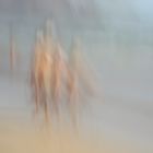 Children playing on the beach - Pinhole Photography