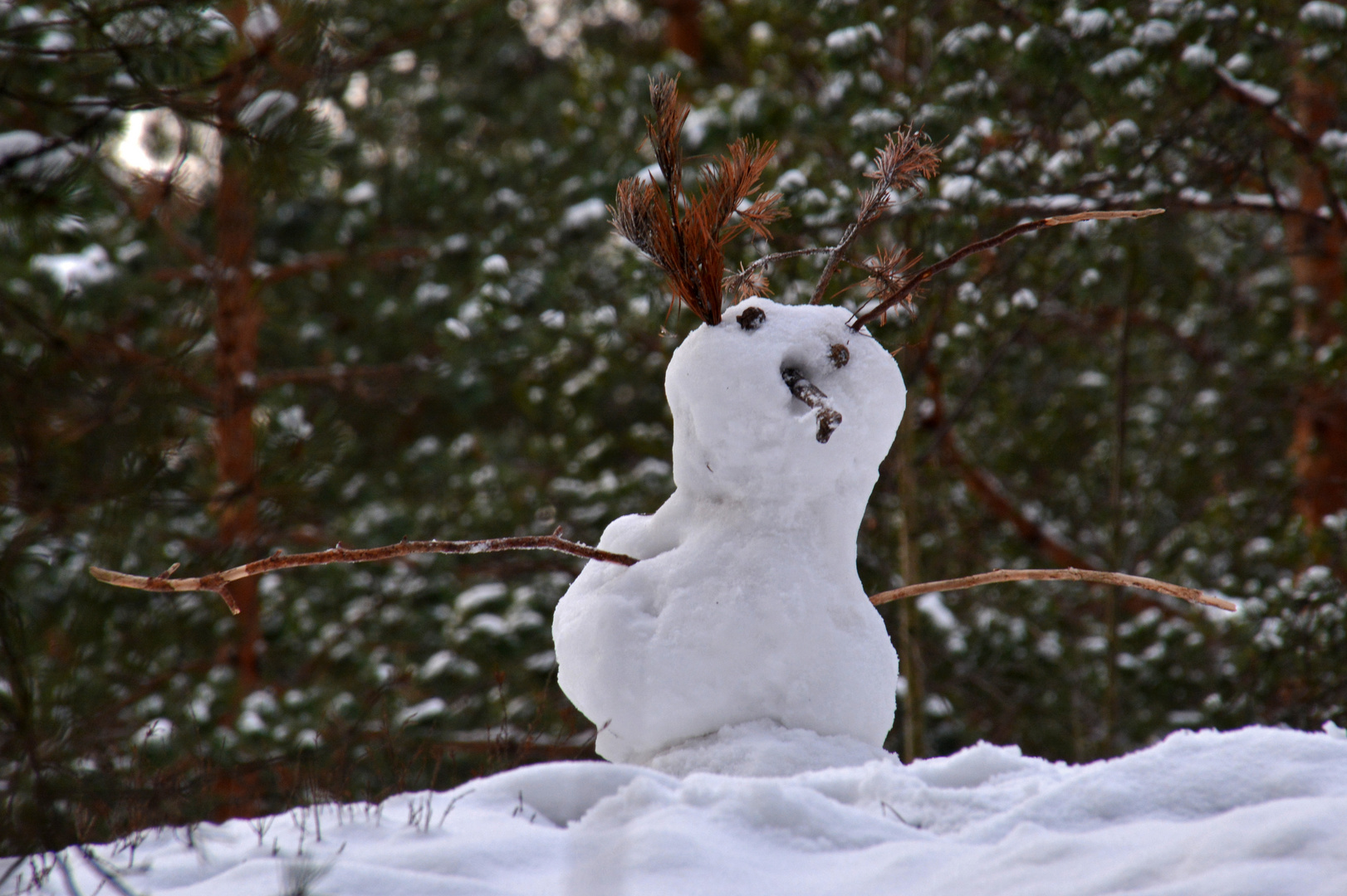 Childrens made snowman in the centralpark of Helsinki