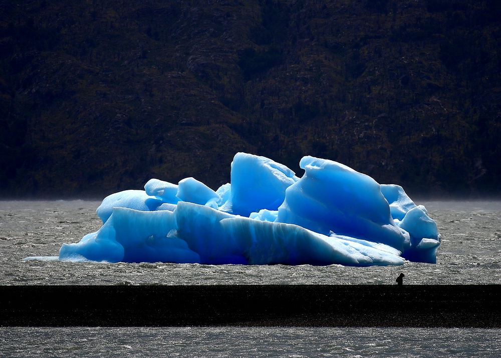 Chile (16) - Grey Gletscher