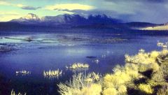 Chile (2) : Lago Chungará (4500m)