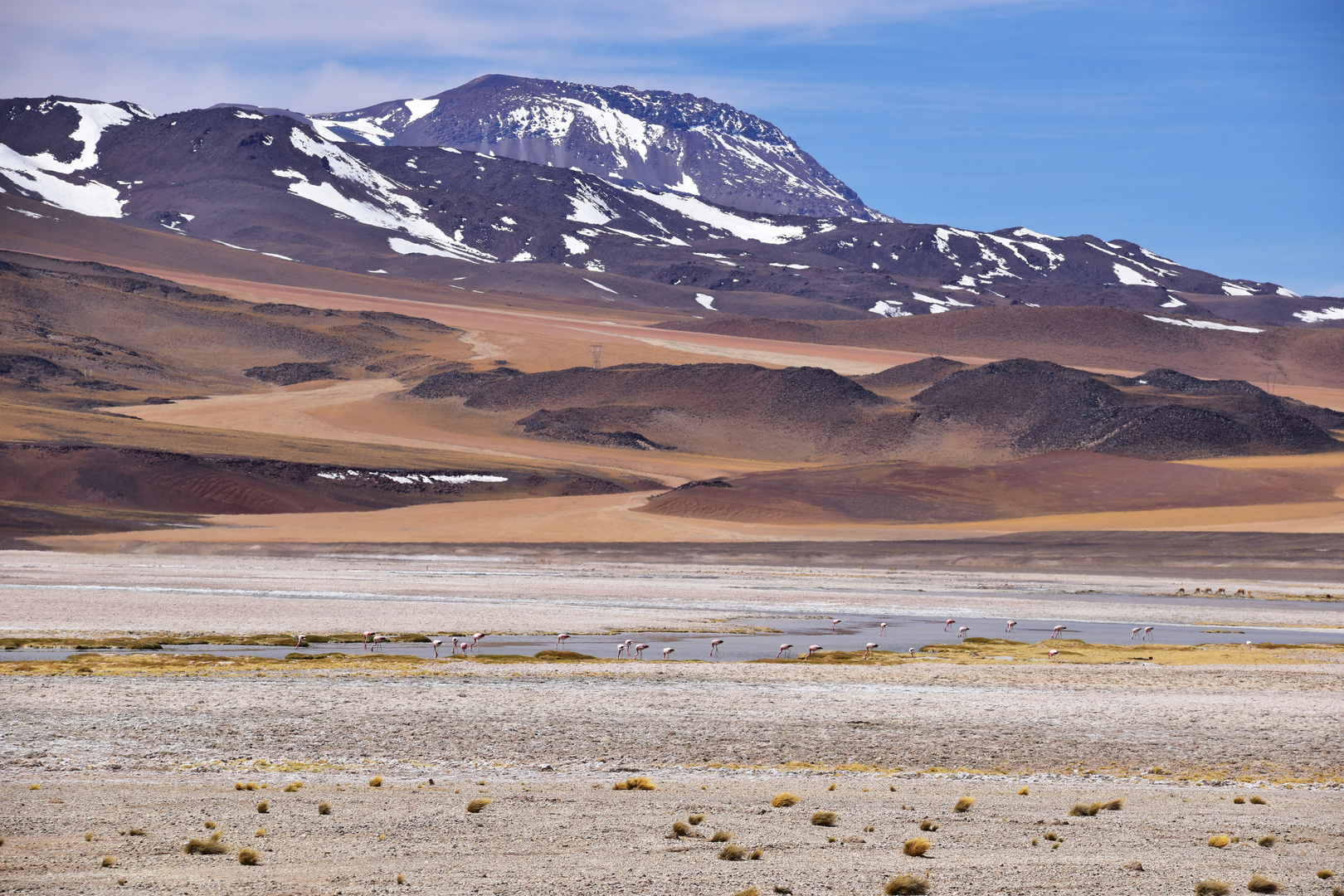 Chile-2018_Atacama