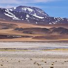 Chile-2018_Atacama