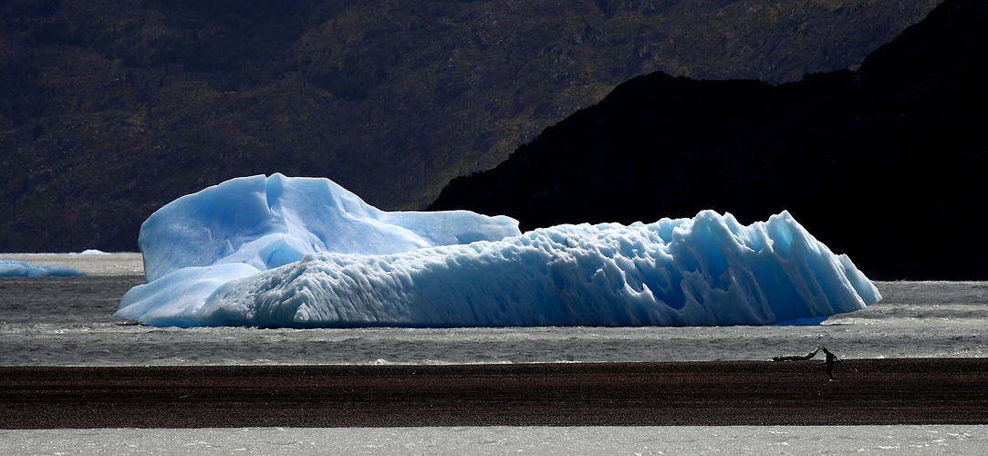 Chile (22) - Grey Gletscher