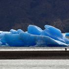 Chile (24) - Grey Glaciar