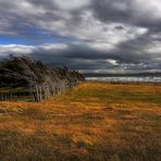 Chile (30) - Estancia Rio Verde