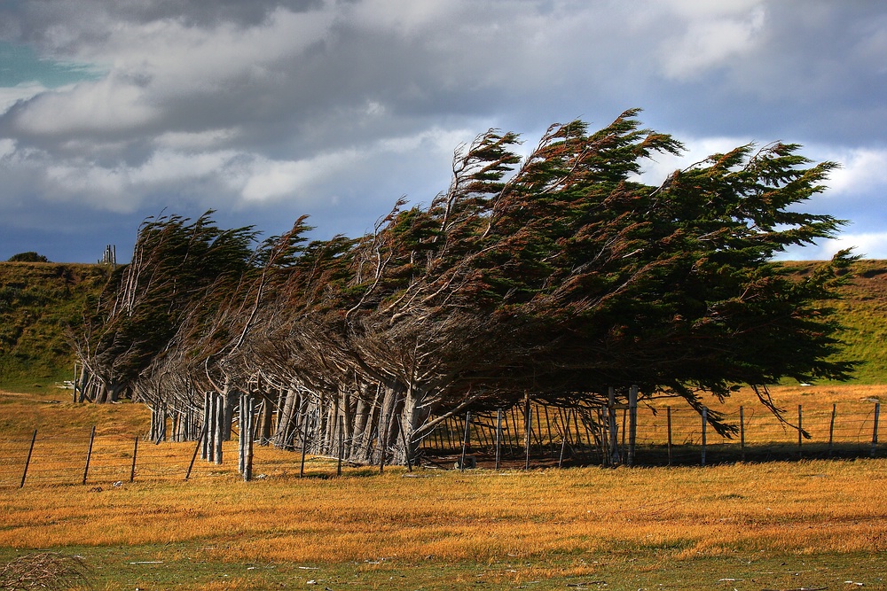 Chile (31) - Estancia Rio Verde