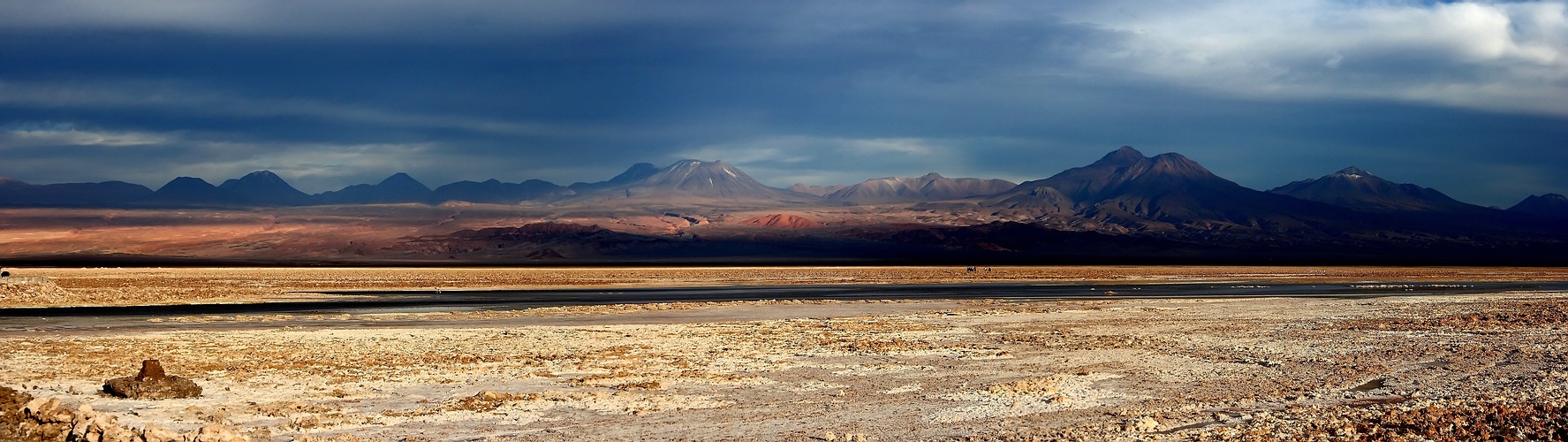 Chile (37) - Atacama