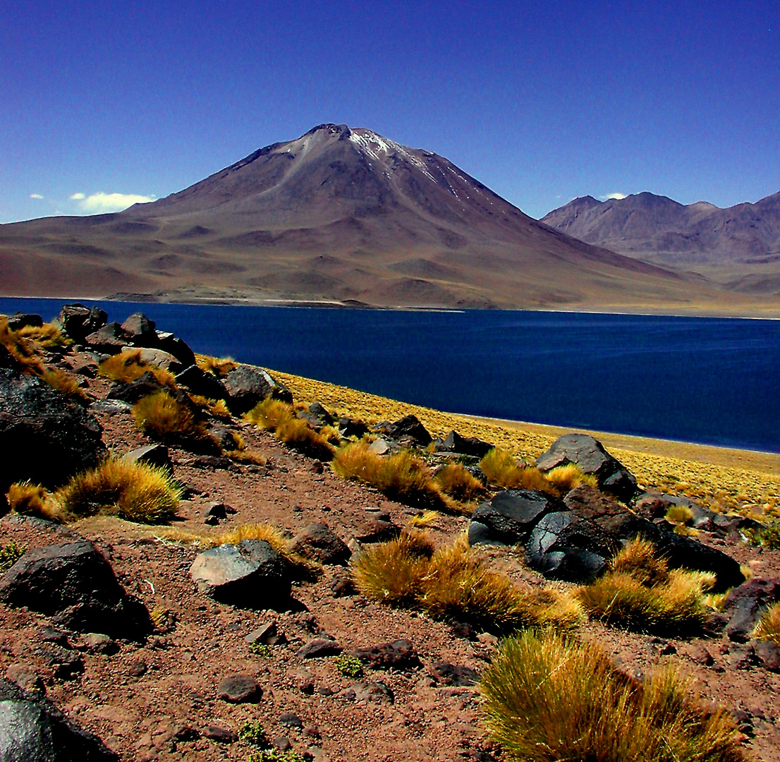 Chile Altiplano