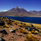 Chile Altiplano