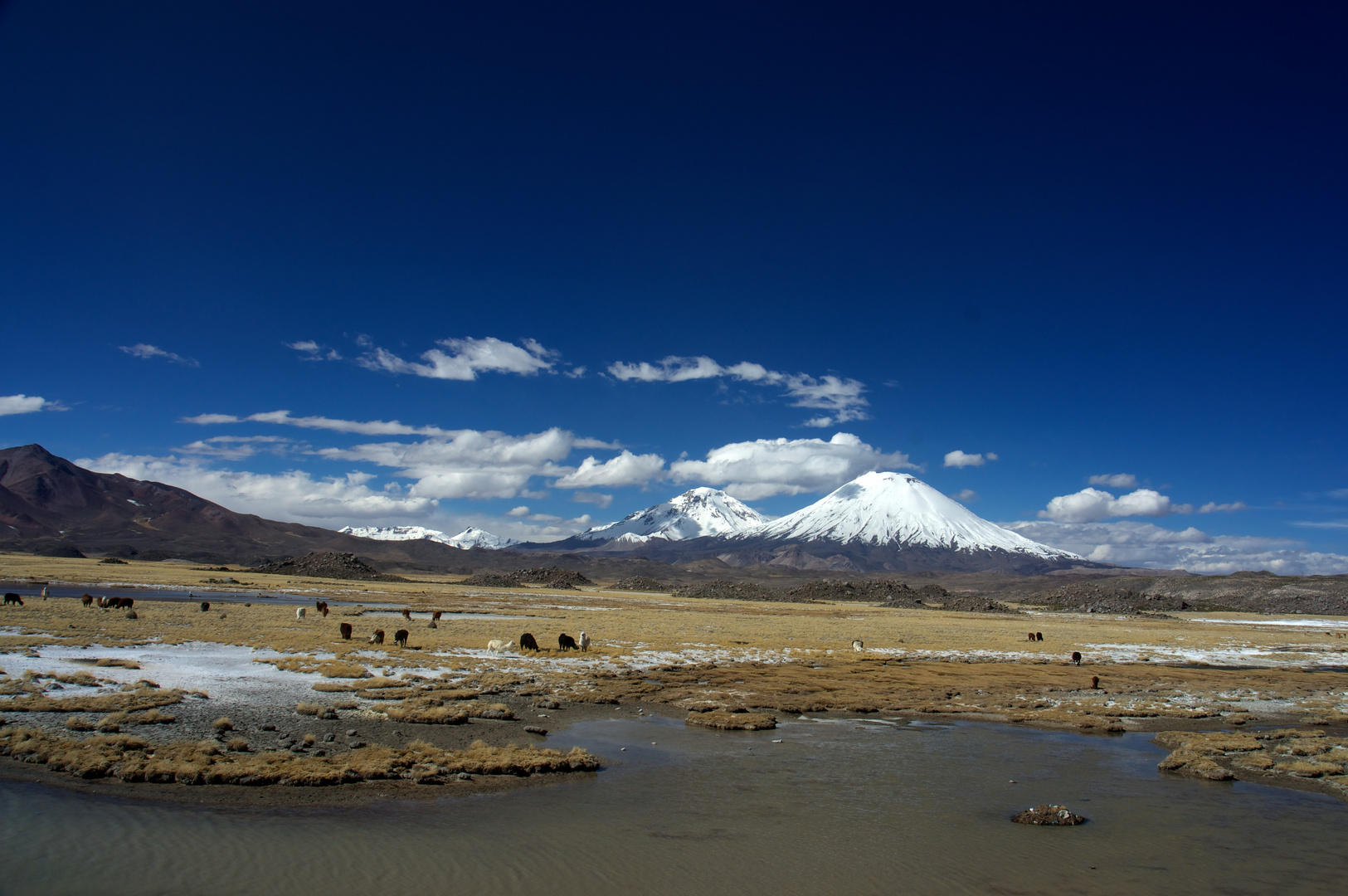 Chile - Altiplano I