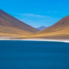 Chile: Altiplano Laguna Miniques