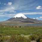 Chile - Der Parinacota-Vulkan im Lauca-Nationalpark