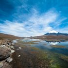 Chile: Der Vulkan Parinacota 6348m, mit dem Lago Chungará #3
