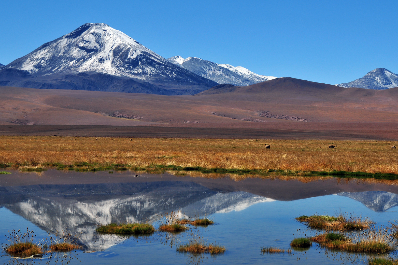 Chile/ Die Andenke