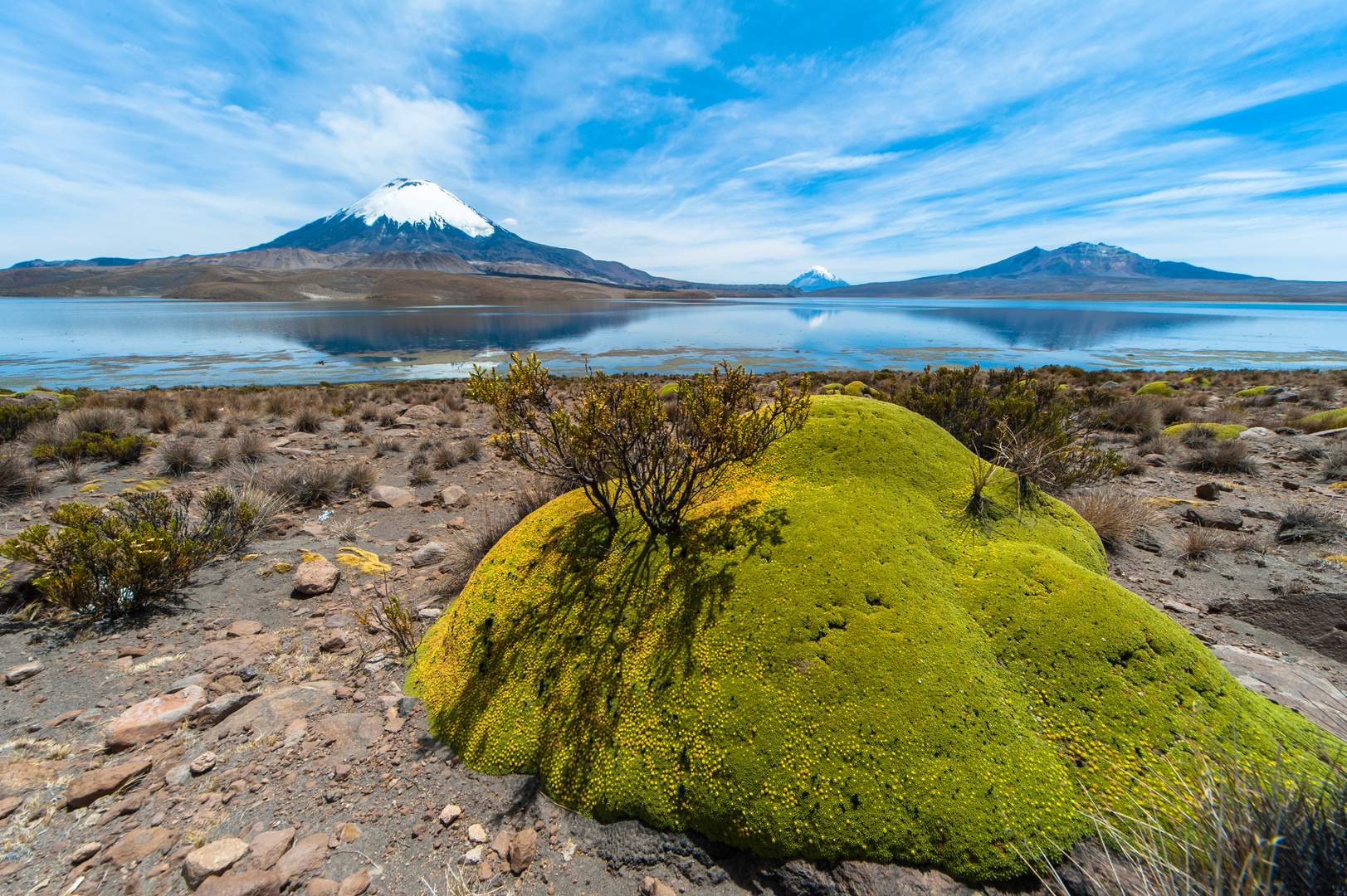 Chile: Die Vulkane Parinacota 6348m, Nevado Sajama 6542m mit dem Lago Chungará #2