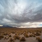 Chile Gewitter auf dem Altiplano