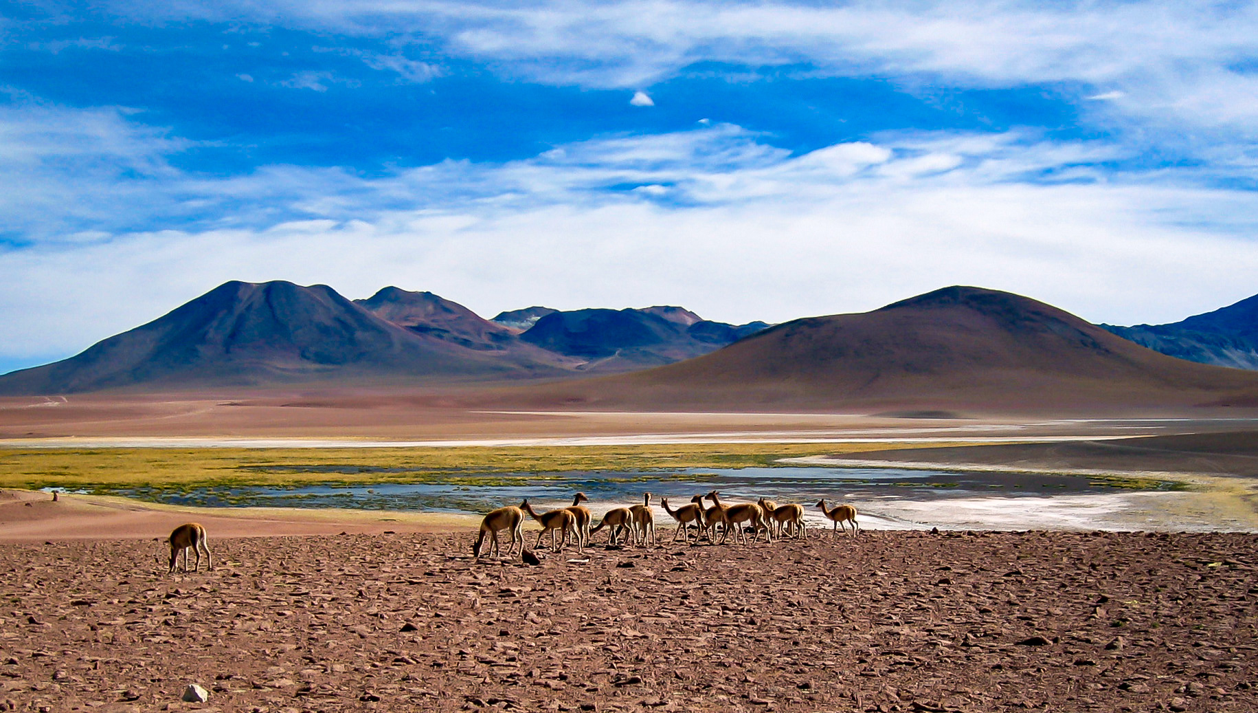 Chile Hochland in der Atacama