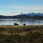 Chile - Lago Peohe