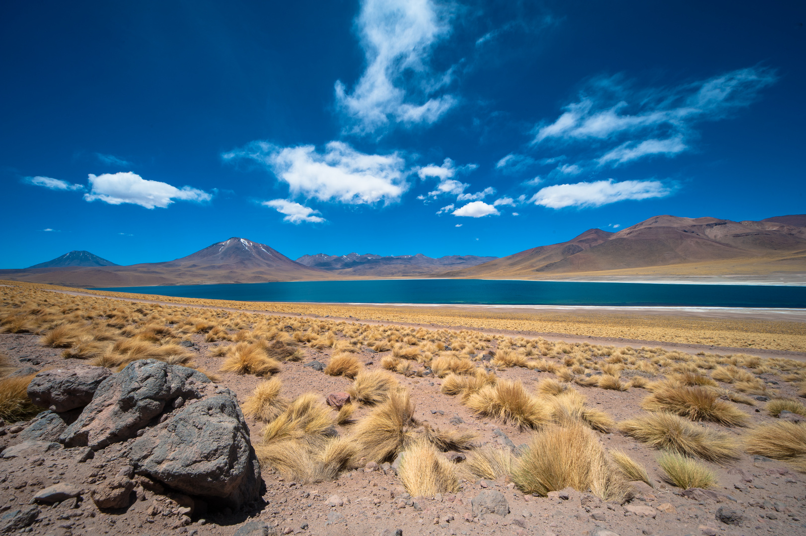 Chile: Laguna Miscanti