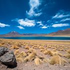 Chile: Laguna Miscanti
