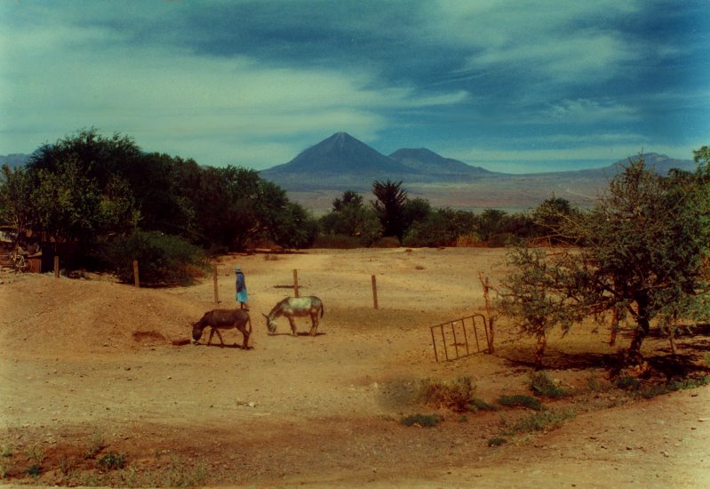 Chile - Land der Extreme