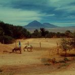 Chile - Land der Extreme