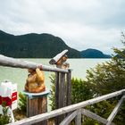 Chile: Patagonien, Caleta Tortel, Blick über die Mündung des Rio Baker