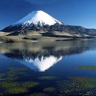 Chile - Vulkan Parinacota