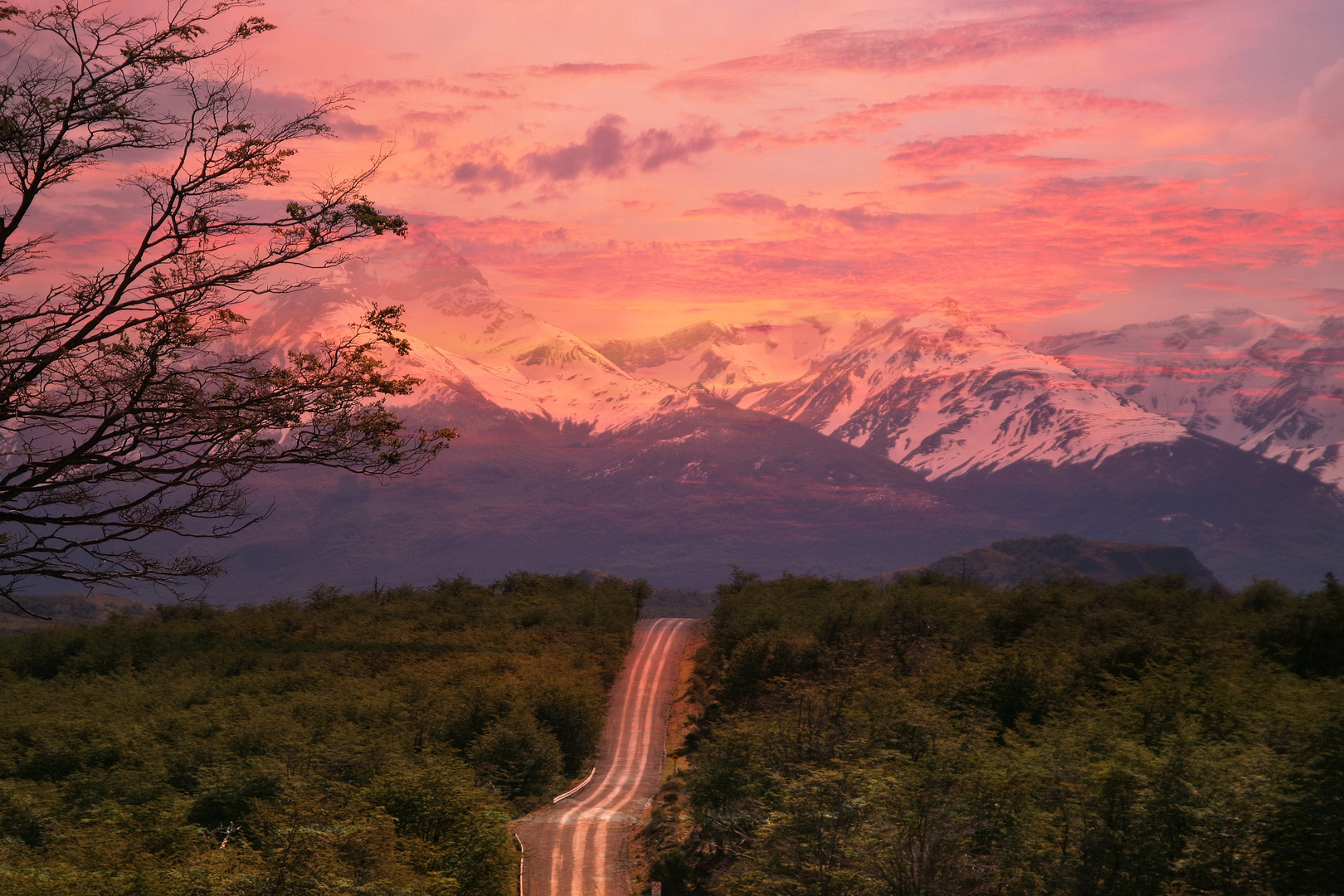 chilean patagonia