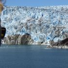 Chilenische Fjorde - Amalia Gletscher