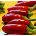 Chili-Auberginen oder Auberginen-Chilis?