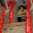 Chili garlands decorate his window