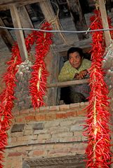 Chili garlands decorate his window