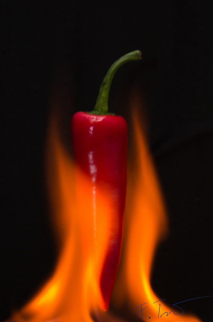 Chili - in Flammen