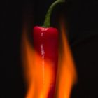 Chili - in Flammen