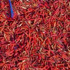 Chili peppers for drying