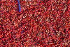 Chili peppers for drying