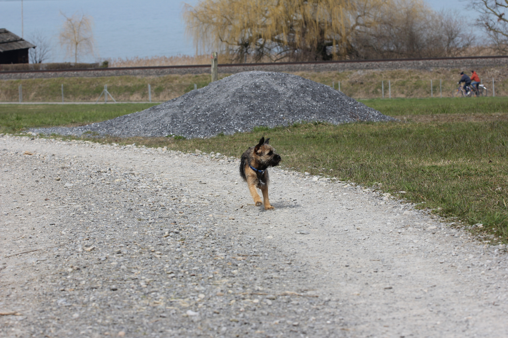 Chill der kleine Wirbelwind