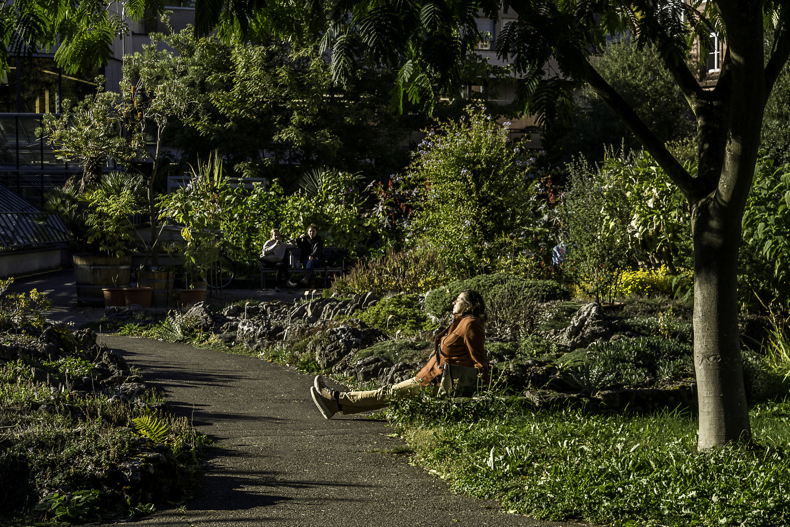 Chill im Garten Foto & Bild | bot.garten uni basel, world, schweiz