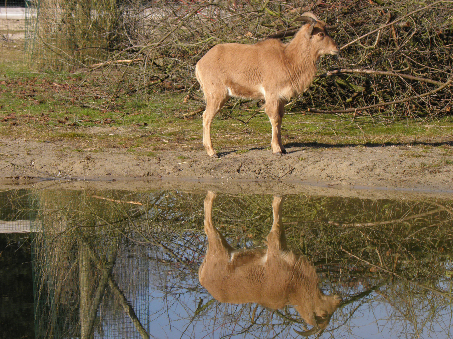 Chill Lounge Foto Bild Anfangerecke Nachgefragt Nachgefragt Tierfotografie Natur Bilder Auf Fotocommunity
