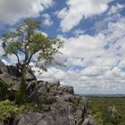 Chillagoe