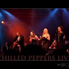 "Chilled Peppers" live