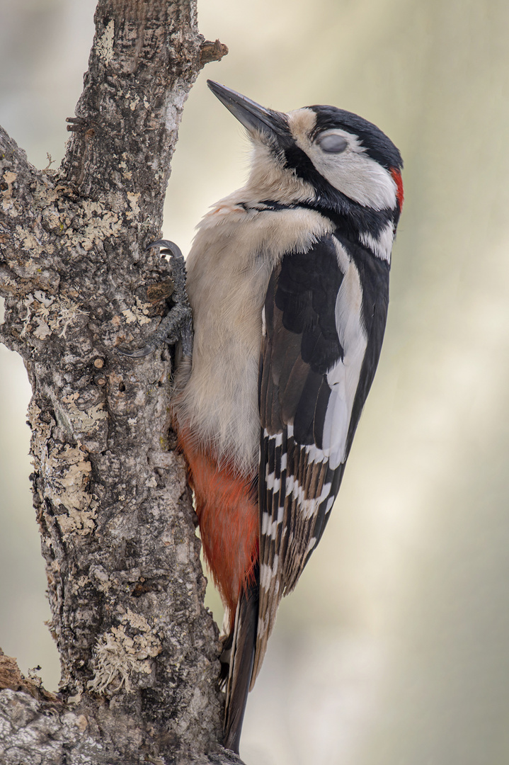 Chillen??? Foto & Bild emotionen, glück, fotos Bilder auf