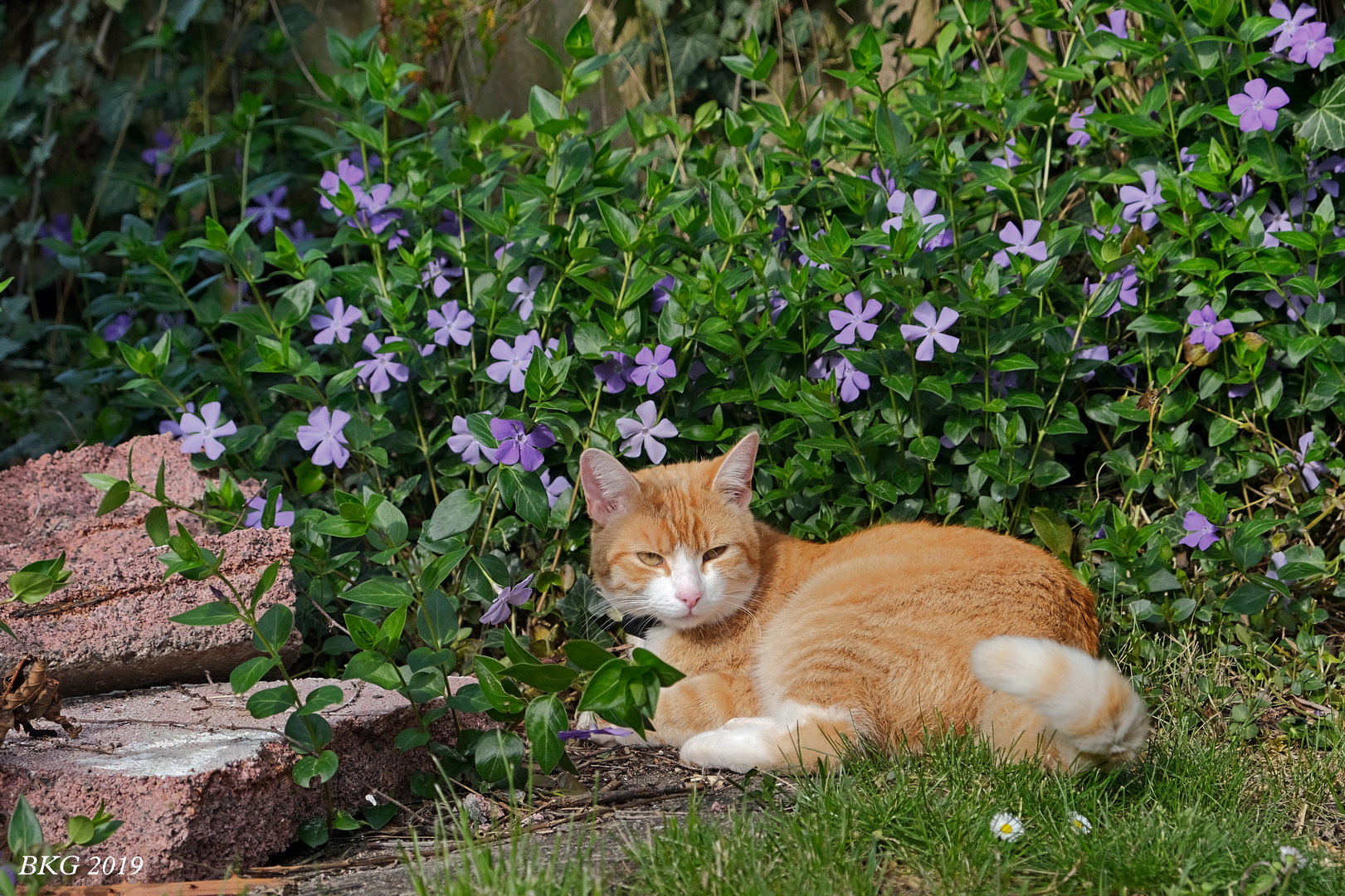 Chillen am 1. Mai 