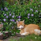 Chillen am 1. Mai 